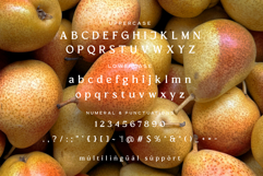 El Pacre Display Font Product Image 8