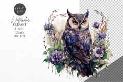Owl clipart, Forest clipart, Birds clipart Product Image 1
