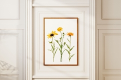 Yellow Wildflowers PNG Product Image 3