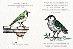 Mediterranean Birds Clipart Product Image 2