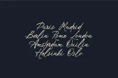 Rhyne Contemporary Signature Script Font Product Image 8