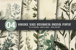 Vintage Sage Botanical Digital Paper Product Image 1
