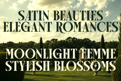 Arogel - Luxury Ligature Serif Font Product Image 8