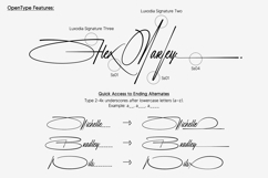 Luxodia Signature | Signature Font Product Image 8