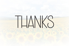 Summer Sunflower Product Image 8