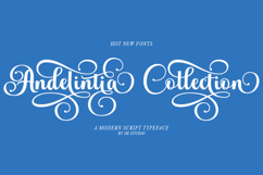 Andelintia - Family Font In 67 Styles Product Image 8