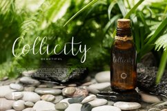 Amstirdam | Handwritten Script Product Image 8