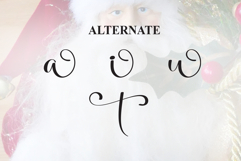 Santa Product Image 8