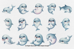 15 Bundle Watercolor Dolphin Fish Animal Sea Ocean Kids Product Image 8