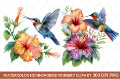 Watercolor Hummingbird Nursery Clipart, Watercolor Clipart Product Image 1