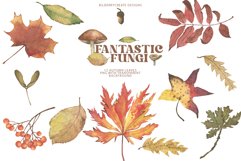 Watercolour Fantastic Fungi Product Image 8