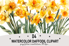 Watercolor Daffodil Clipart png Whimsical Daffodil png Product Image 1