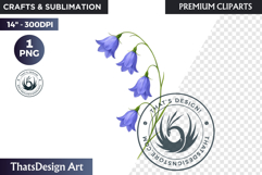 Flower Clipart PNG, Botanical Illustration Floral graphic Product Image 1