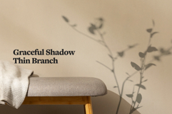 Plant Shadow Backdrops Video Bundle Product Image 8
