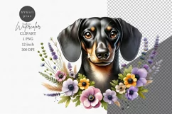 Dog clipart, Puppy dog, Dachshund Product Image 1