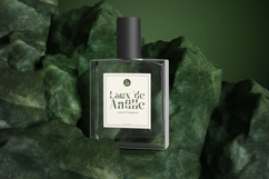 Vanelo - Luxury Serif font Product Image 8