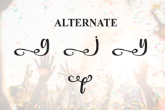 Party Product Image 8