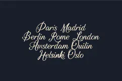 Ardor Elegant Calligraphy Script Font Product Image 8