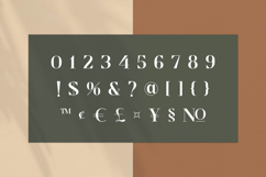 Cronisse - Modern Display Serif Product Image 8