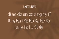 Luxury Élégance - Luxury Sans Serif Font Product Image 8