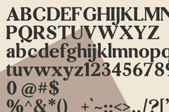 Desrige Product Image 8