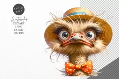 Ostrich clipart, Bird clipart, Funny clipart Product Image 1