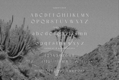 Corigo Elegant Font Product Image 8