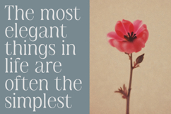 Deluvia - Elegant Serif Typeface Product Image 8