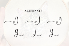 Elegant Embroidery Product Image 8