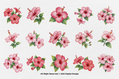 15 Bundle Watercolor Hibiscus Flower Blossom Hawaiian Floral Product Image 8