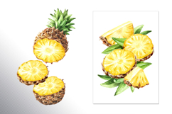 Tropical Pineapple Product Image 9