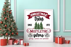 Christmas trees since 1972 Mistletoe farms family owned and Product Image 3