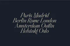 Aviel Elegant Expressive Serif Font Product Image 8