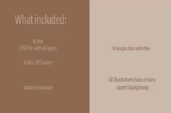 Butterfly clipart, Butterfly PNG, Butterfly painting Product Image 2