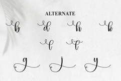 Dingbats Product Image 8