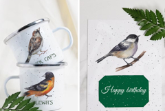 Backyard Birds of North America Product Image 7