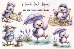 Beach Bird Clipart PNG Product Image 1