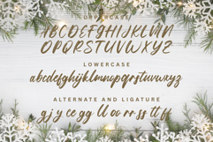 Snowberry Brush Product Image 8