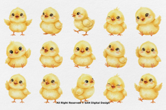 15 Bundle Watercolor Small Chicks Yellow Chicken Kids Product Image 8