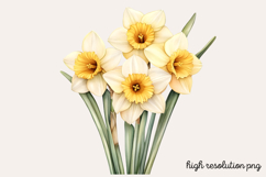 Springtime Daffodils Easter Clipart PNG Product Image 1