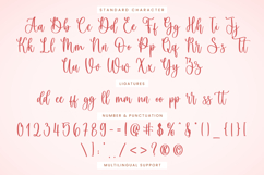 Antonella - Wedding Font Product Image 8