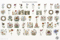 1920 Botanical Summer Wildflowers Clipart Product Image 4