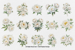 15 Bundle Watercolor White Peony Flower Ivory Wedding Product Image 8