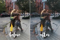 Instagram Lightroom Mobile&amp;Desktop Preset &#039;NewYork&#039; Product Image 6