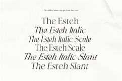 The Esteh Serif Product Image 8