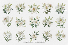 15 Bundle Watercolor White Lily Flower Wedding Minimalist Product Image 8
