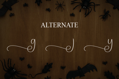 Spooky Vintage Product Image 8