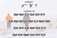 North Hiking Product Image 8