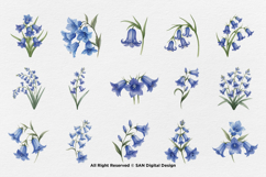 15 Bundle Watercolor Blue Bell Flower Spring Floral Garden Product Image 8