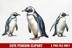 Cute Penguin Clipart Sublimation Product Image 1